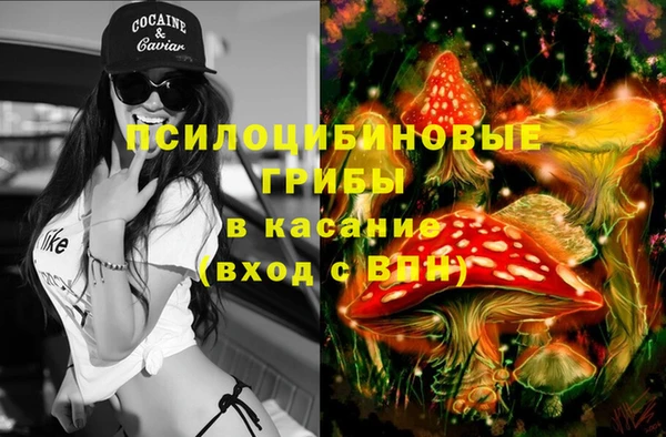 гашиш Ельня