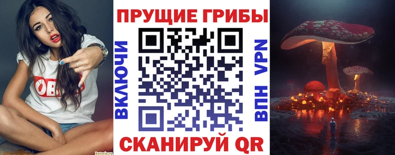 Галлюциногенные грибы прущие грибы  ссылка на мегу ТОР  Заволжск  купить  сайты 