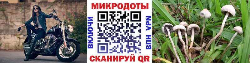 Галлюциногенные грибы мухоморы Заволжск